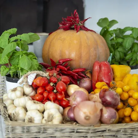 ヴィラ - Elio ポジターノ