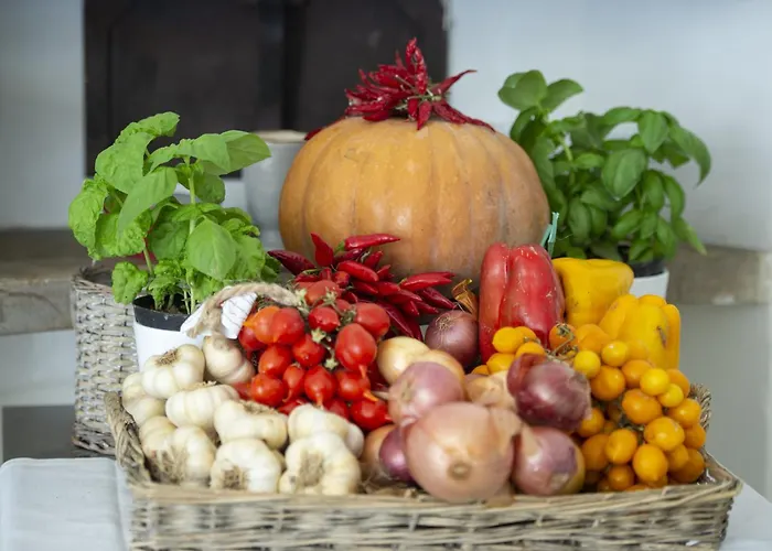Villa - Elio Positano